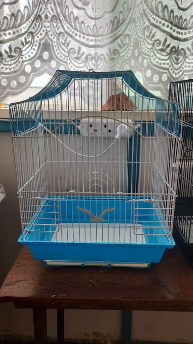Клетка для попугаев