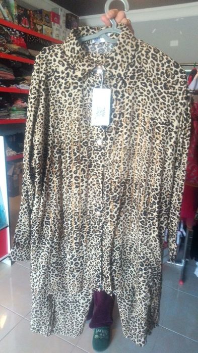 Ayyolar kuylagi yangi