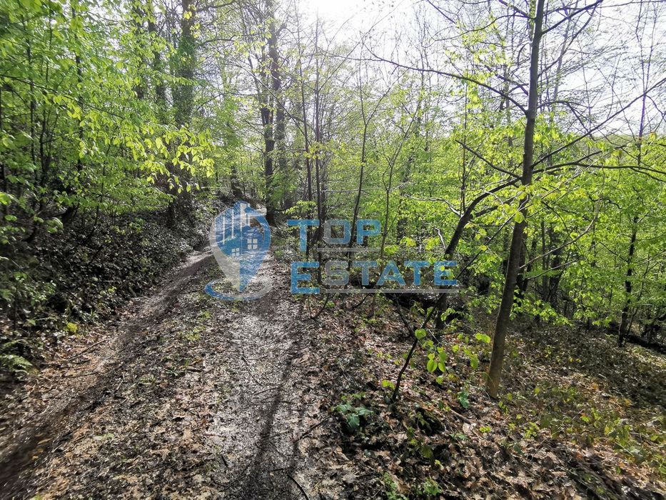 Парцел в регулация в с. Боженци