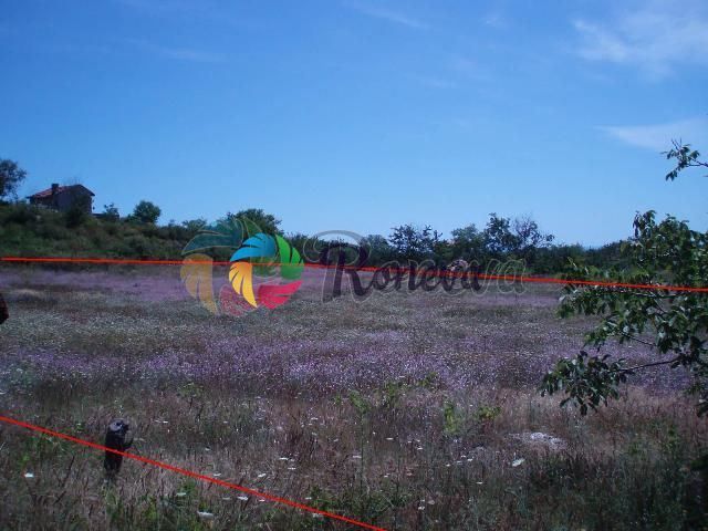 Продава се Парцел в Варна, м-т Траката - 4687 кв.м за 49 €/кв.м - Снимка #1