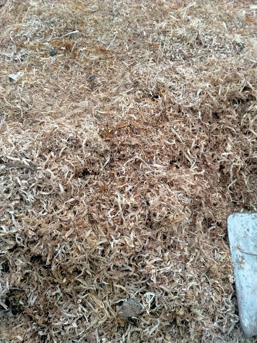 Опилка под бензопилы