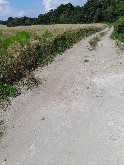 Продава се Земеделски имот в Белослав -  кв.м за 22223 €/дка - Снимка #4