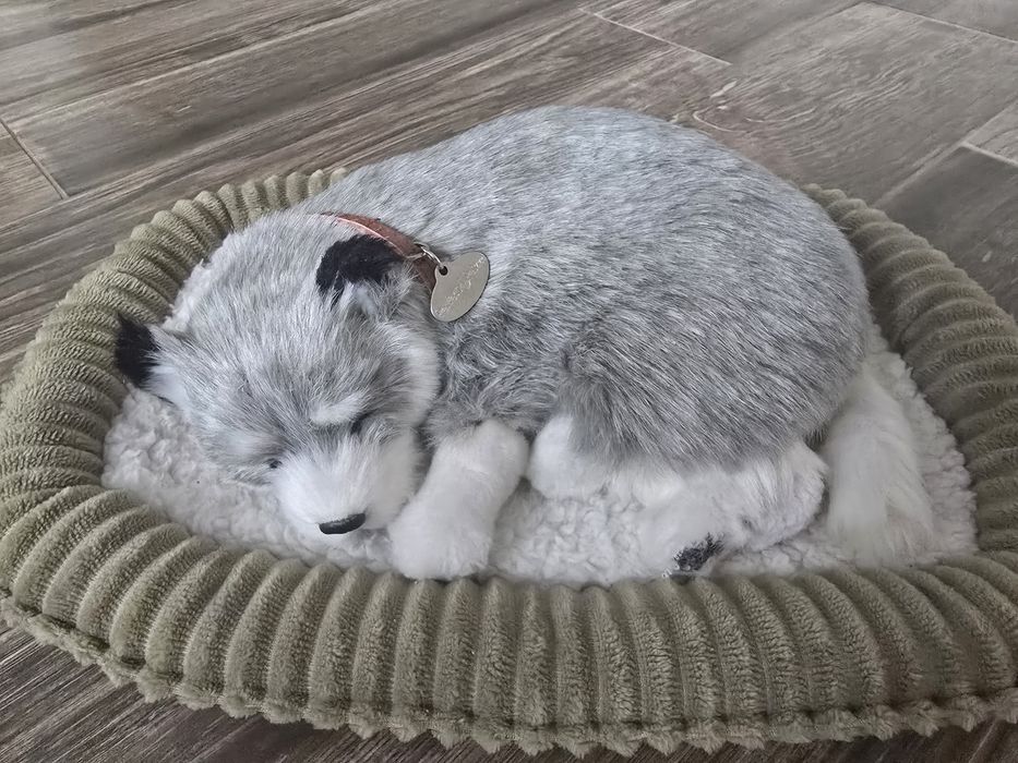 Cățel Husky robotic cu efect realistic original cumpărat din SUA