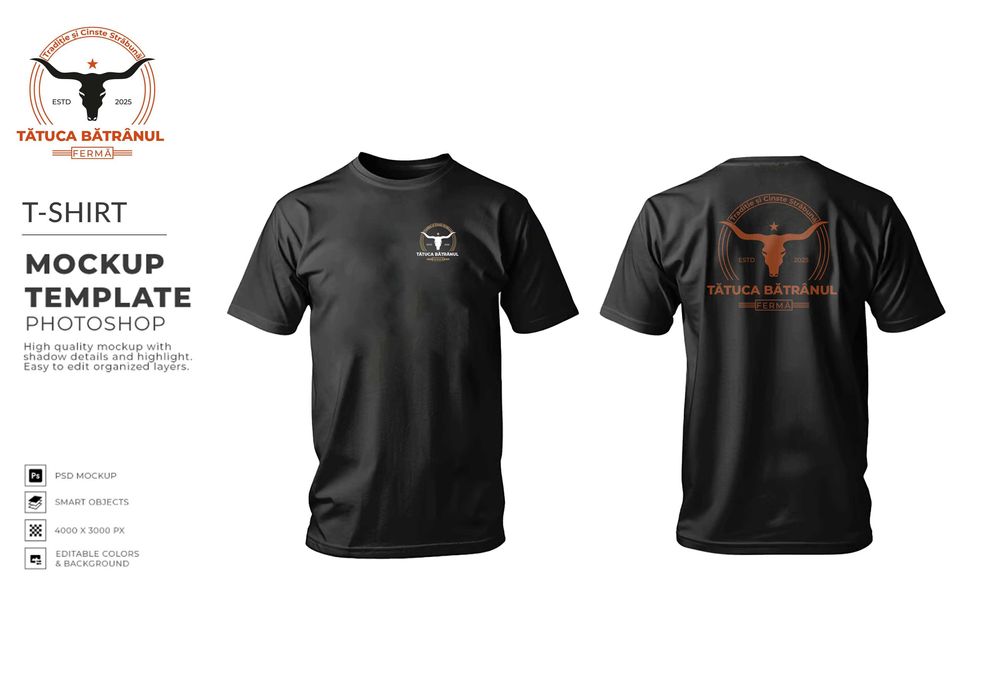 Graphic Designer profesionist logo, identitate vizuală design tricouri