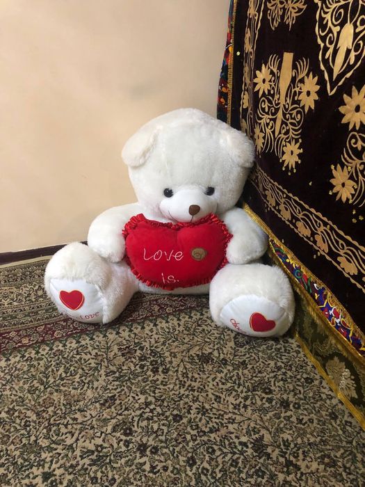 Yumwoq ayiqcha sotiladi