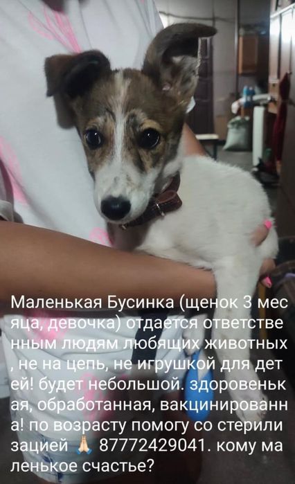 В добрые руки малышка.