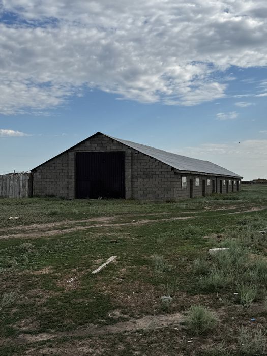 Продам КХ  дом и кашар для откорм
