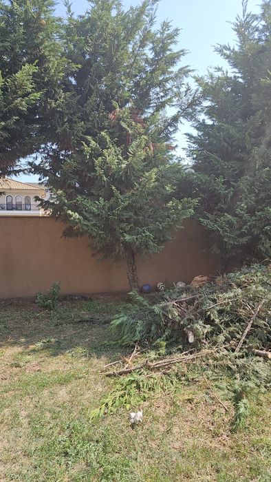 Debarasari apartamente mobila veche