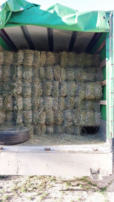 Baloti de fan de vanzare TRANSPORT LA DOMICILIU