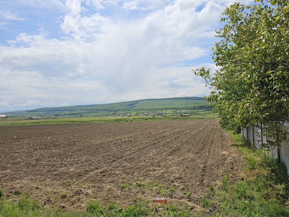 Vând 55,5 ari teren în Mitocu Dragomirnei