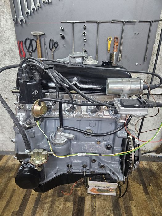 Yalangoch qizlar ov qilmoqda