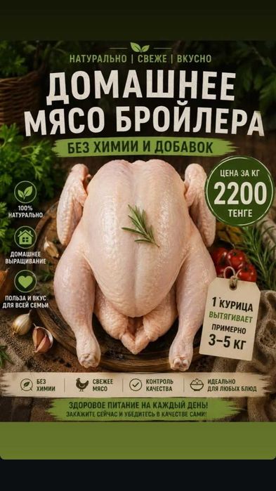 Продам курицы бройлер