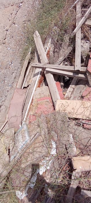 Отын ағаш бұтақ тегін