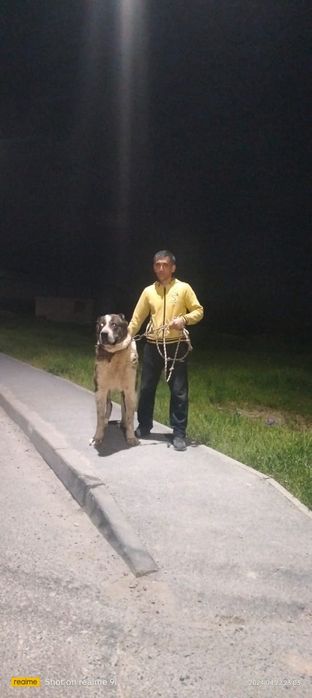 Кавкаский супертяж