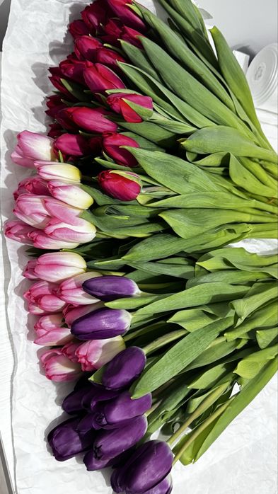 Тюльпаны по 750 тг пионовидные