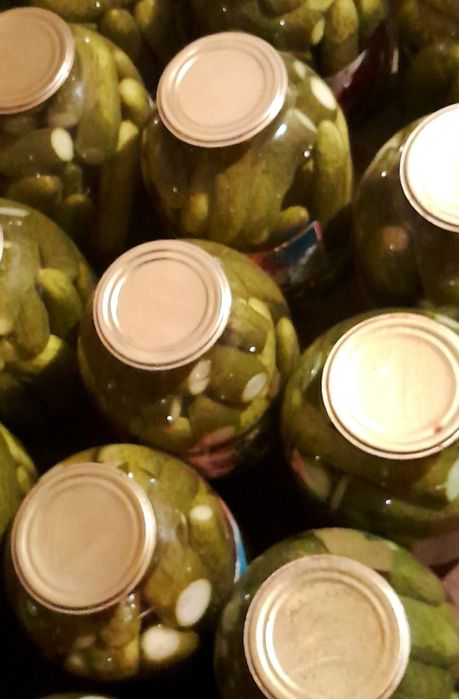 Соленья этого года