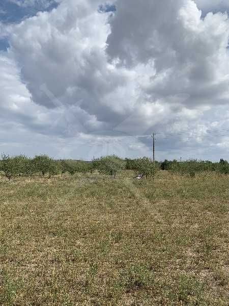 На главен път! 5дка в Черничево! 64729