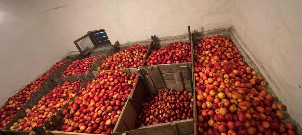 Mere de vanzare diverse soiuri