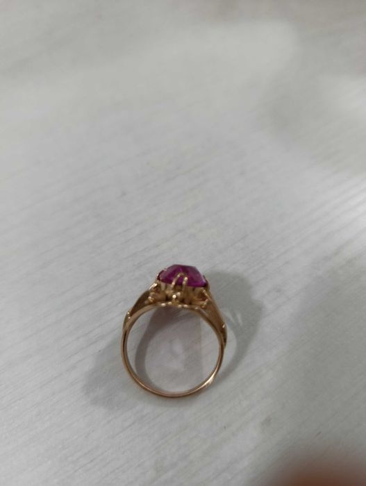 Золотое кольцо жук