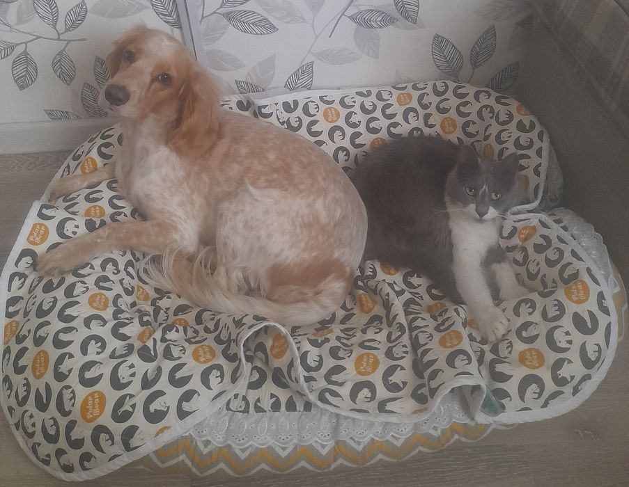 Няня для вашего ребенка круглосуточно