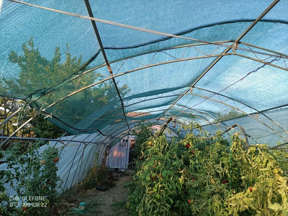 Оранжерия за продан