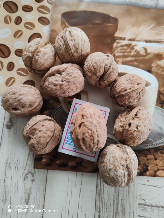 Продам грецкий орех