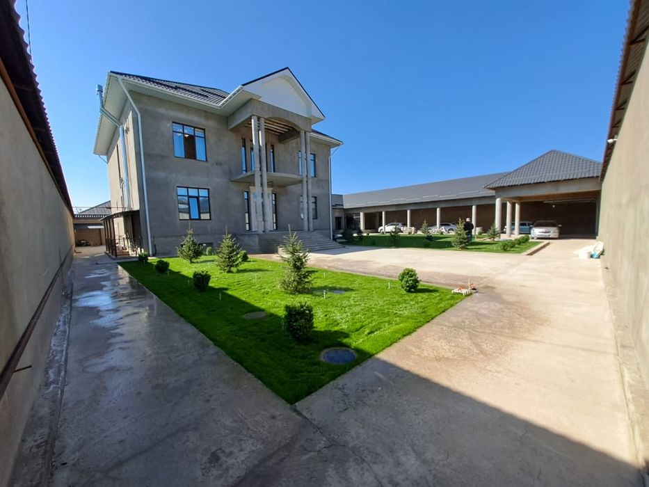 Посотка газона с поливом