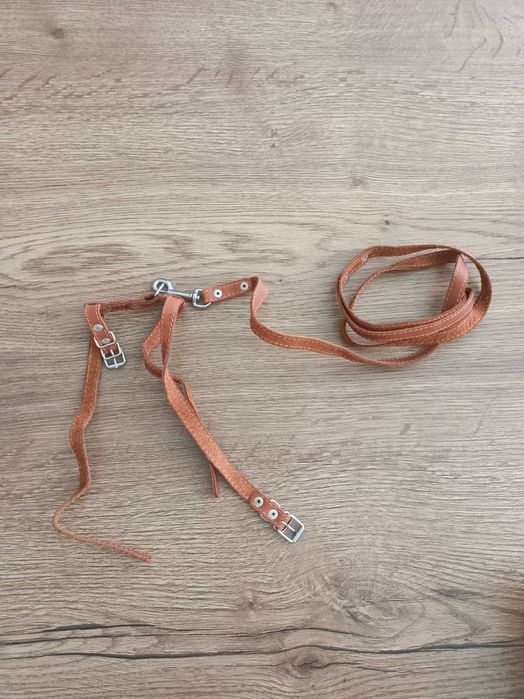 Продам вещички для кота/кошке