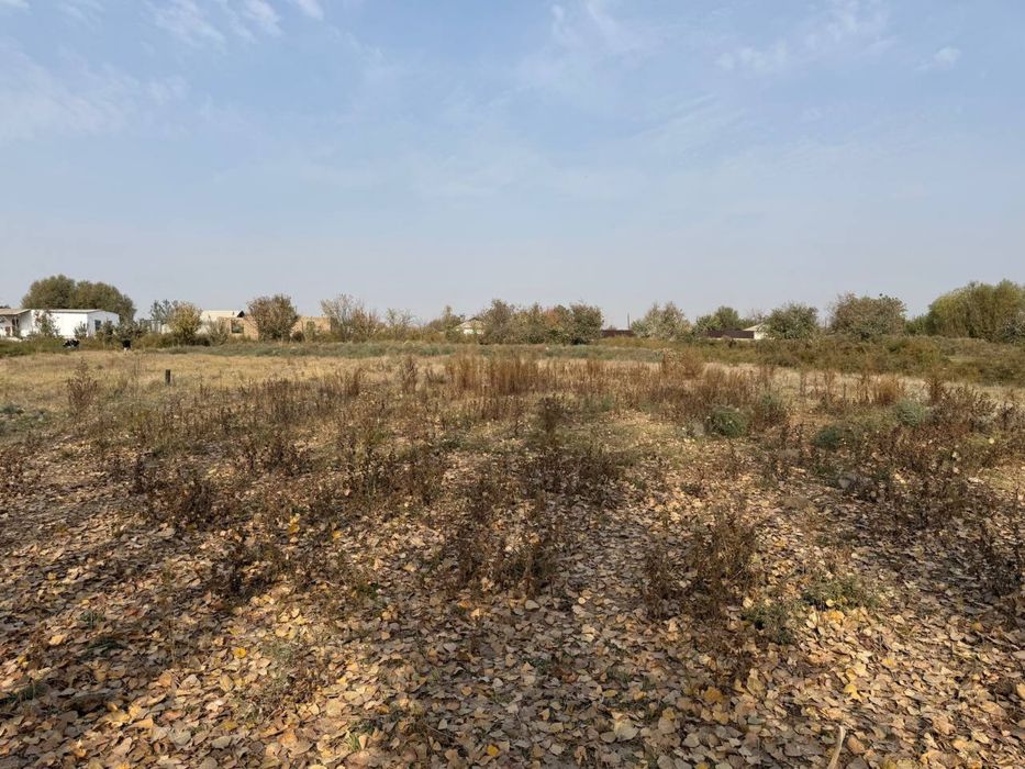 Sayxunobod tumani O’rikzor mahallasida 34 sotix yer sotiladi.