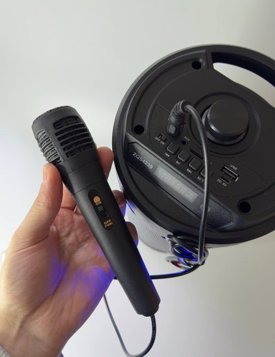 Колонка с микрофоном 40 см