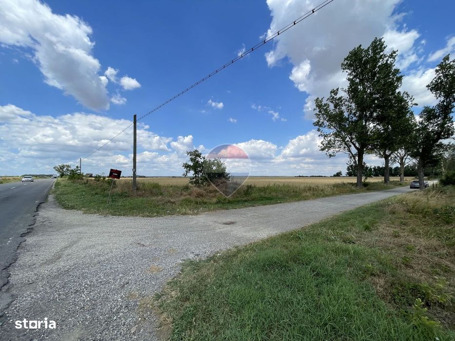 Teren 4.350 mp langa Balta Pasarea, Frumusani