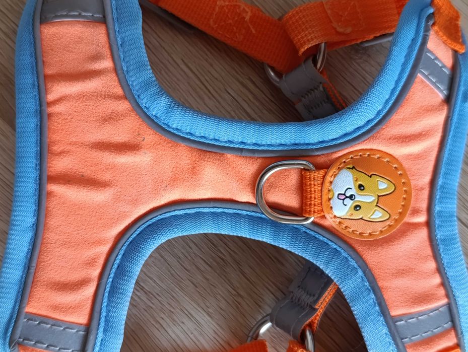 Повод и регулируем нагръдник за кучета