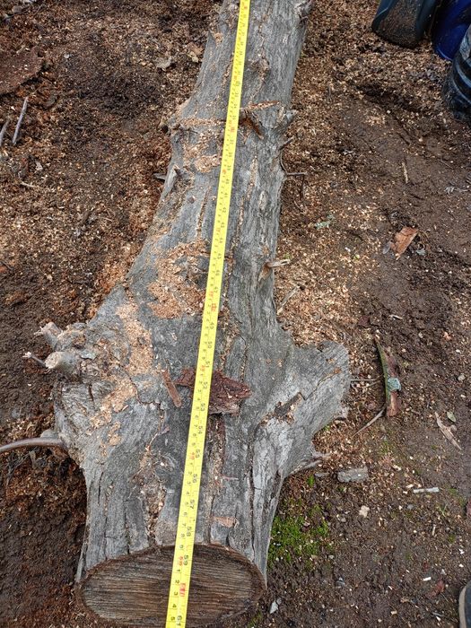 Орех дървен материал парче