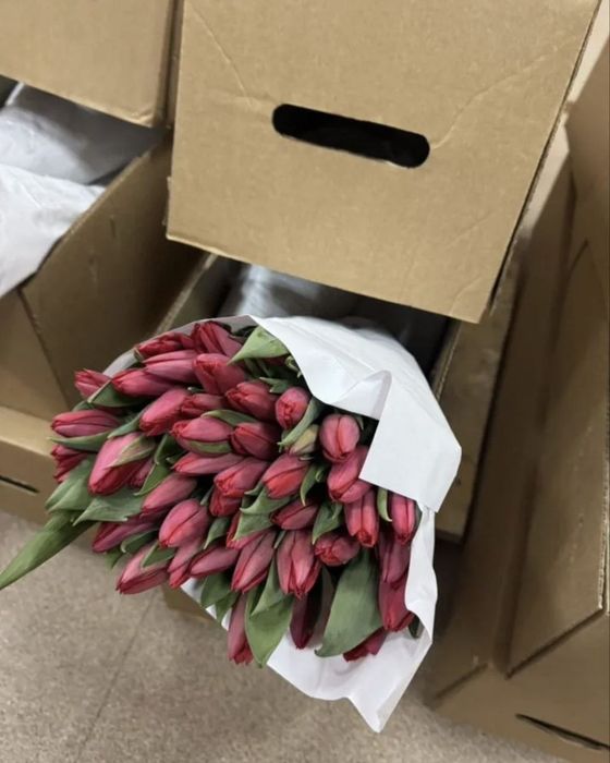 Тюльпаны оптом свежая вырезка