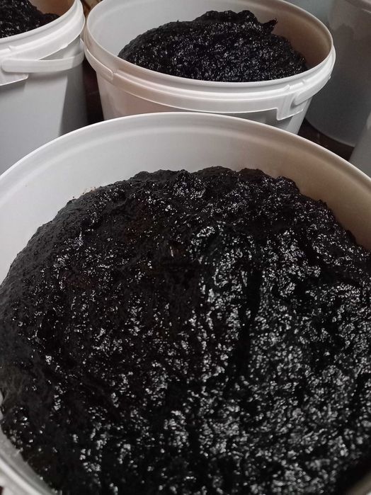 Magiun de prune(silvoita)