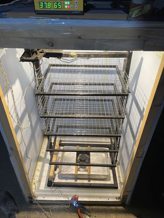 инкубатор сотилади