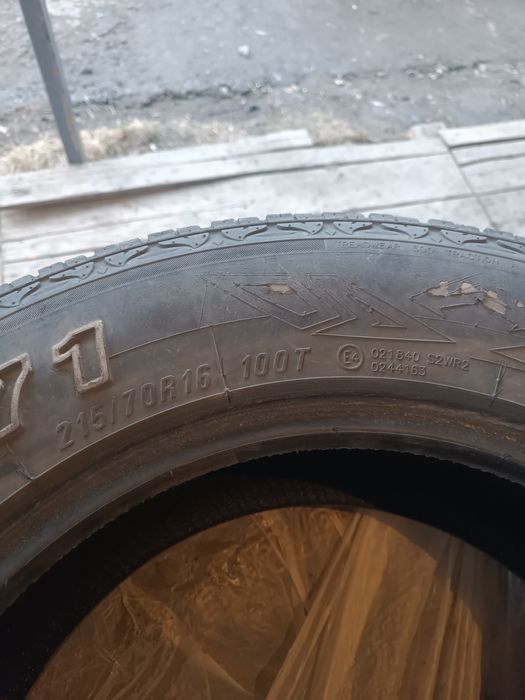 летние шины BRAVO