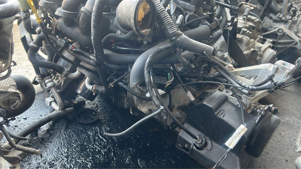 Двс Форд Фокус 1.6 ванус Бензин