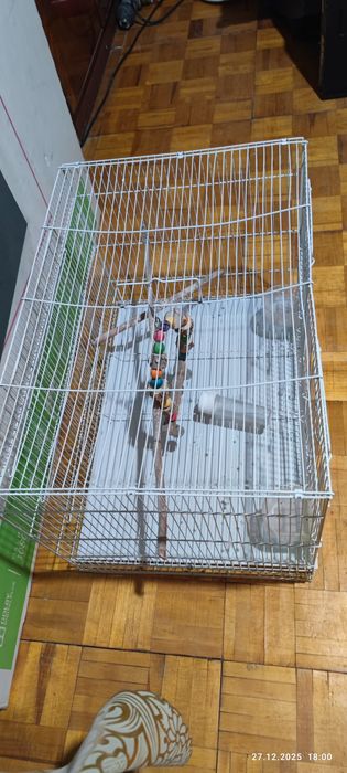 Клетка для попугаев