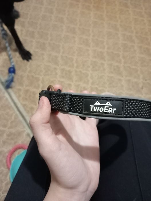 Продаю амуницию для собак