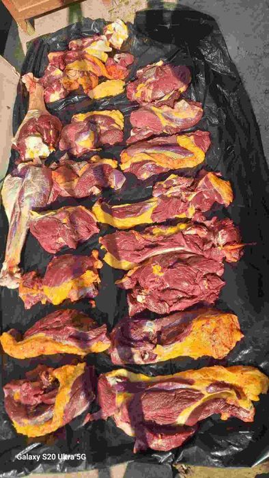 Tuyaqush va tuyaqush mahsulotlari sotiladi