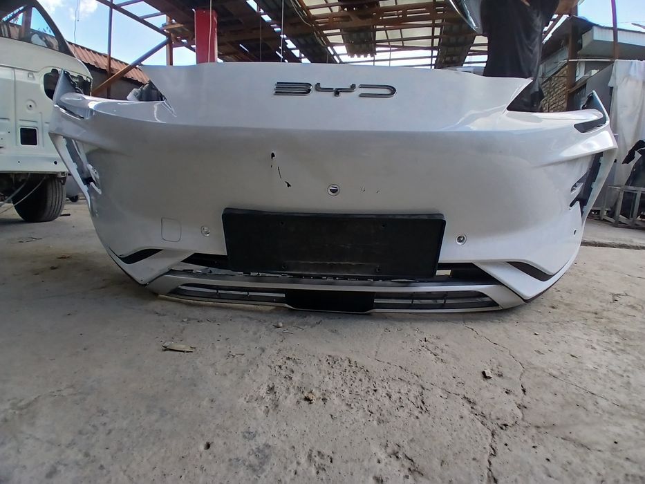 Bivaydi chempion elektro