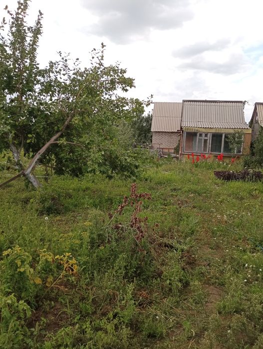 Продам Дача сад Здоровье