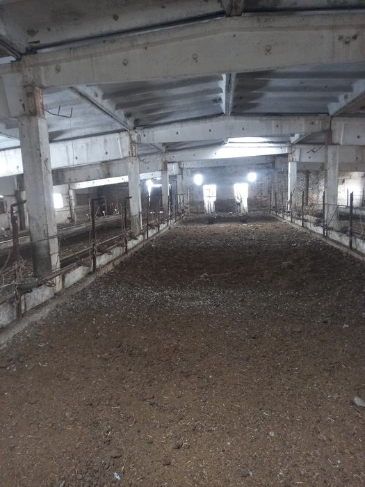 Фазенда база.     .