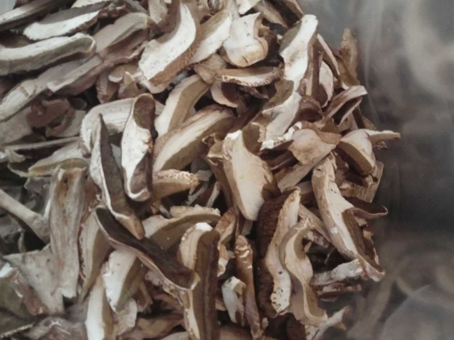 Vind hribe uscate si Tronpeta piticului