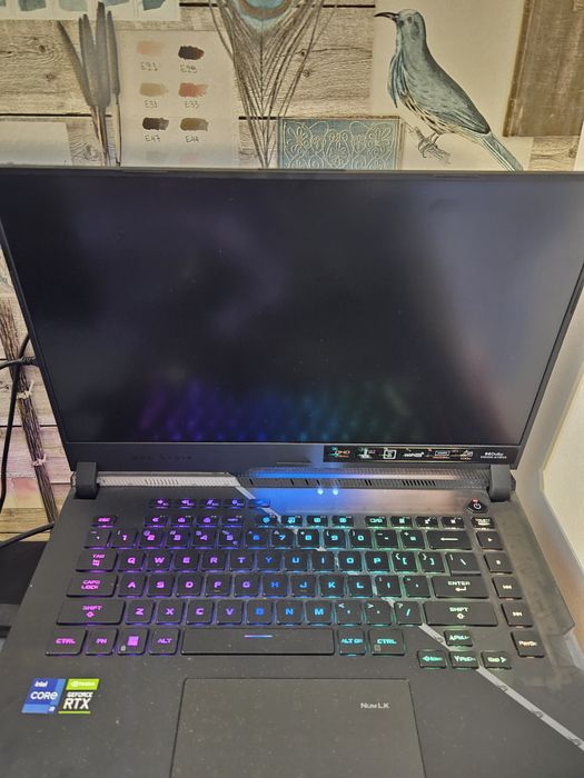 ASUS ROG Strix Scar G533ZW (3070ti / I9)