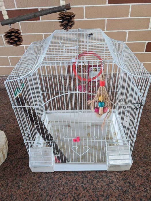 клетка для попугая с игрушками