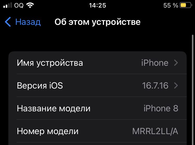 Iphone 8 idial 81% 256 gb atpechatka iwlidi