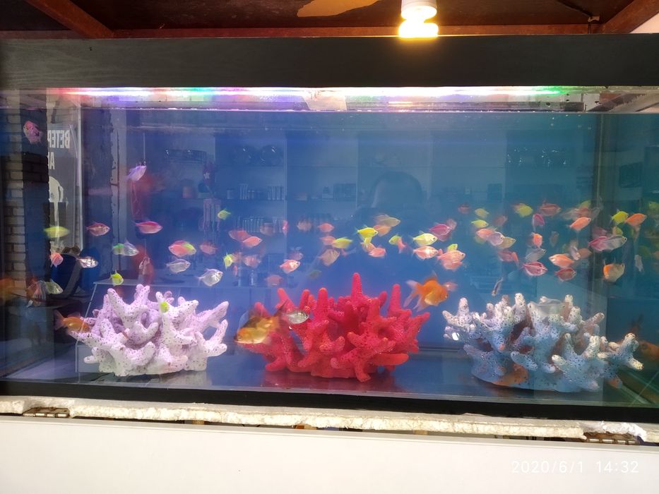 Продам аранды телескоп тернецыя