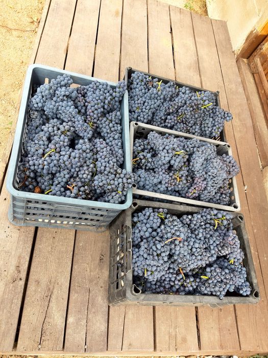Продам дачу 18 соток